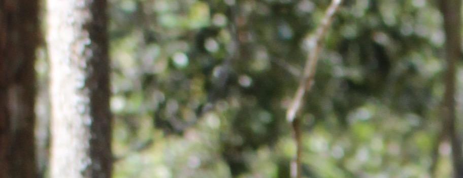 Cover Photo